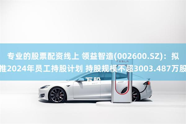专业的股票配资线上 领益智造(002600.SZ)：拟推2024年员工持股计划 持股规模不超3003.487万股