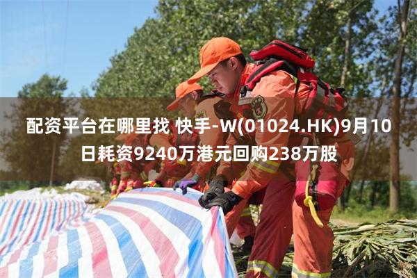 配资平台在哪里找 快手-W(01024.HK)9月10日耗资9240万港元回购238万股