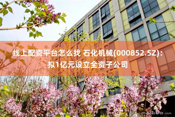 线上配资平台怎么找 石化机械(000852.SZ)：拟1亿元设立全资子公司