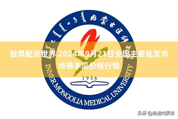 股票配资世界 2024年9月21日全国主要批发市场佛手瓜价格行情