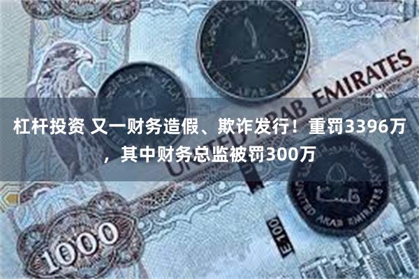 杠杆投资 又一财务造假、欺诈发行！重罚3396万，其中财务总监被罚300万