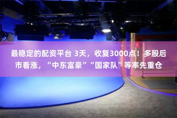 最稳定的配资平台 3天，收复3000点！多股后市看涨，“中东富豪”“国家队”等率先重仓