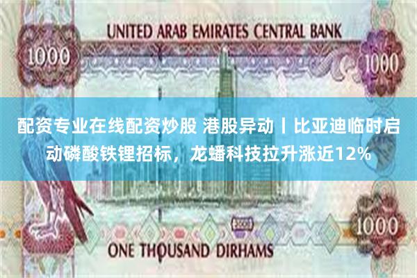 配资专业在线配资炒股 港股异动丨比亚迪临时启动磷酸铁锂招标，龙蟠科技拉升涨近12%