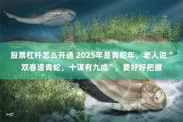 股票杠杆怎么开通 2025年是青蛇年，老人说“双春逢青蛇，十谋有九成”，要好好把握