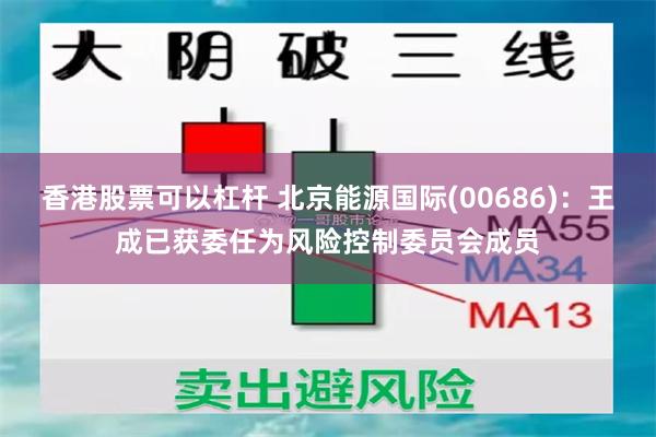 香港股票可以杠杆 北京能源国际(00686)：王成已获委任为风险控制委员会成员