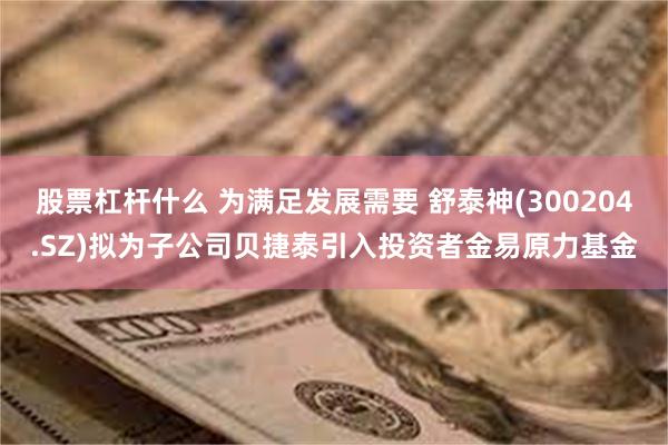 股票杠杆什么 为满足发展需要 舒泰神(300204.SZ)拟为子公司贝捷泰引入投资者金易原力基金