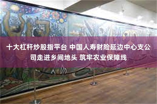 十大杠杆炒股指平台 中国人寿财险延边中心支公司走进乡间地头 筑牢农业保障线