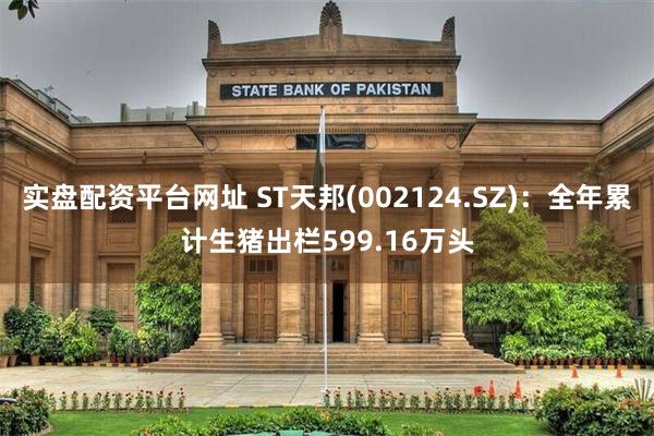 实盘配资平台网址 ST天邦(002124.SZ)：全年累计生猪出栏599.16万头