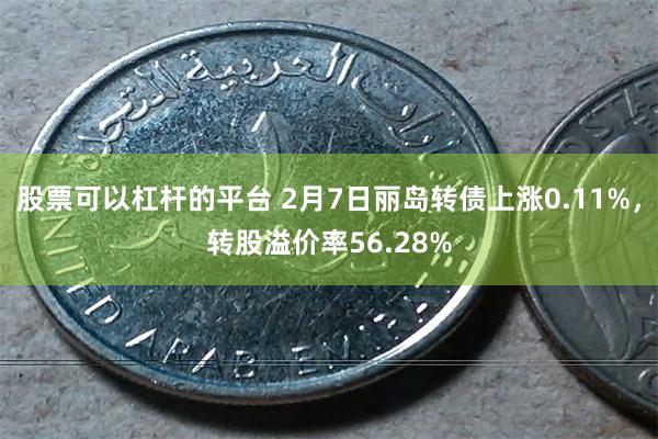 股票可以杠杆的平台 2月7日丽岛转债上涨0.11%，转股溢价率56.28%