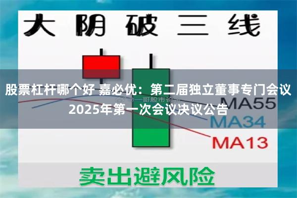 股票杠杆哪个好 嘉必优：第二届独立董事专门会议2025年第一次会议决议公告