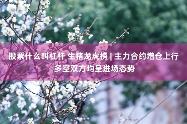 股票什么叫杠杆 生猪龙虎榜 | 主力合约增仓上行 多空双方均呈进场态势