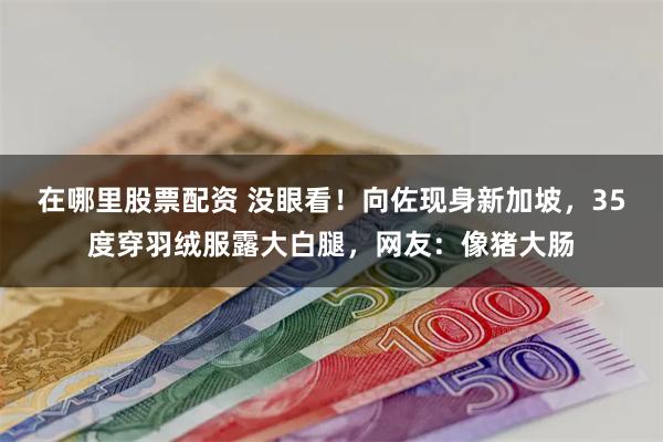 在哪里股票配资 没眼看！向佐现身新加坡，35度穿羽绒服露大白腿，网友：像猪大肠