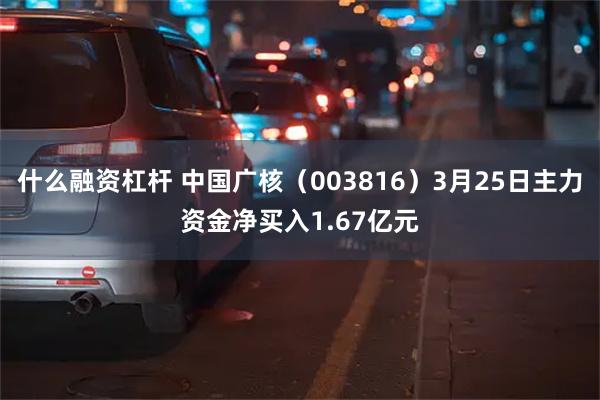什么融资杠杆 中国广核（003816）3月25日主力资金净买
