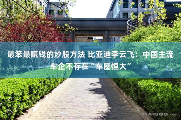 最笨最赚钱的炒股方法 比亚迪李云飞：中国主流车企不存在“车圈