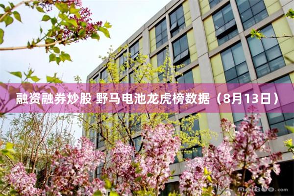 融资融券炒股 野马电池龙虎榜数据（8月13日）